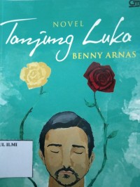 Tanjung luka